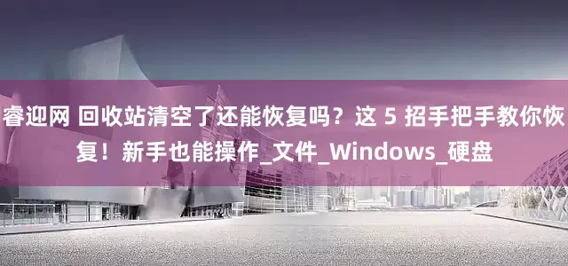 睿迎网 回收站清空了还能恢复吗？这 5 招手把手教你恢复！新手也能操作_文件_Windows_硬盘