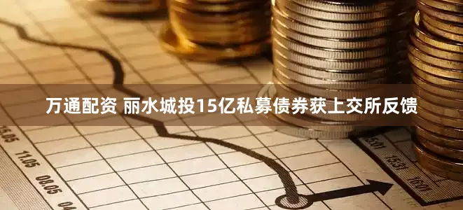 万通配资 丽水城投15亿私募债券获上交所反馈