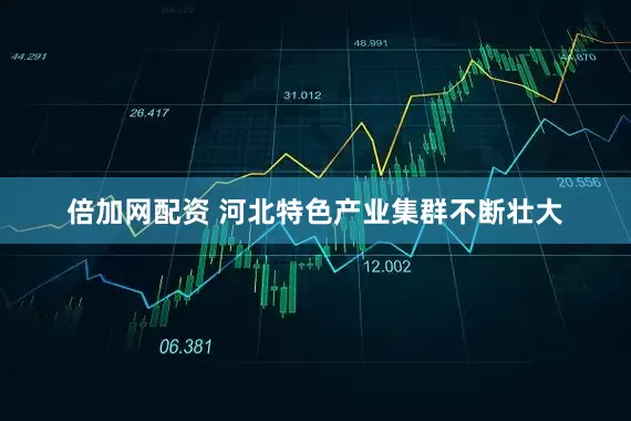 倍加网配资 河北特色产业集群不断壮大