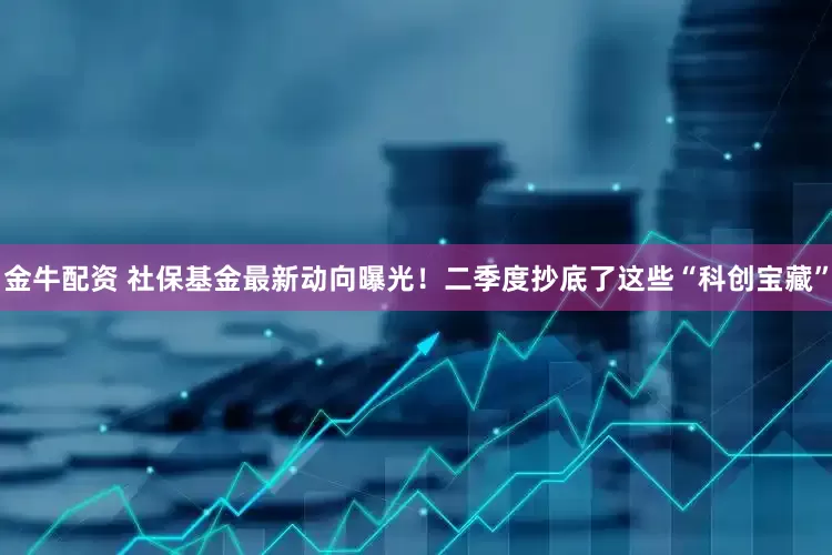 金牛配资 社保基金最新动向曝光！二季度抄底了这些“科创宝藏”