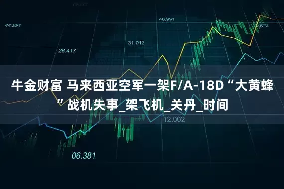 牛金财富 马来西亚空军一架F/A-18D“大黄蜂”战机失事_架飞机_关丹_时间